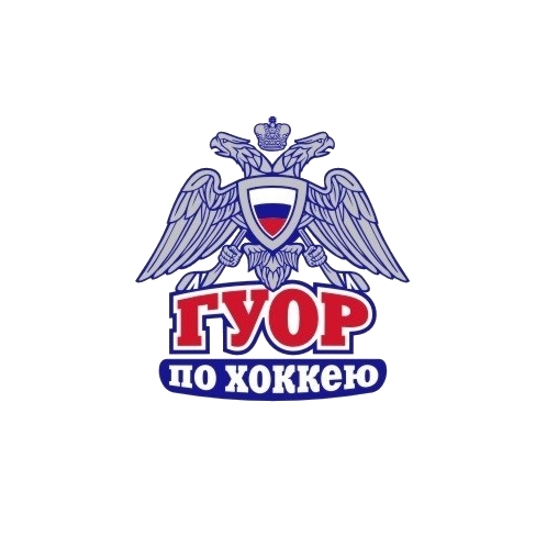 Оснащение “под ключ” Государственного училища олимпийского резерва по хоккею системой антитеррористической безопасности